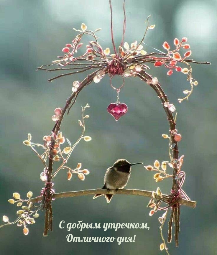 С добрым утречком, Отличного дня!