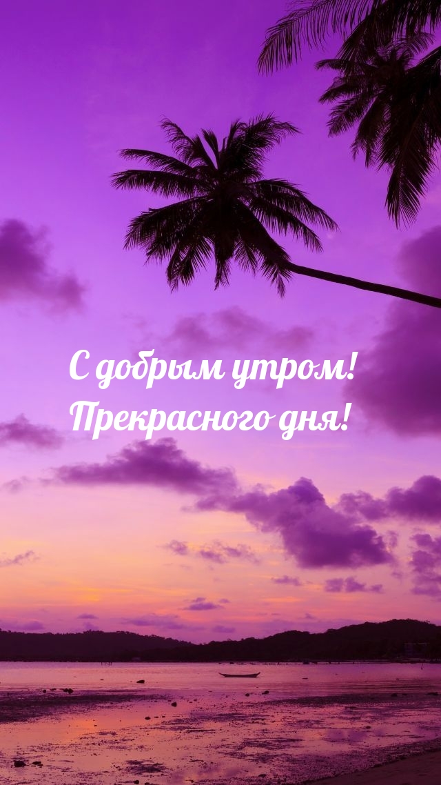 С добрым утром! Прекрасного дня!
