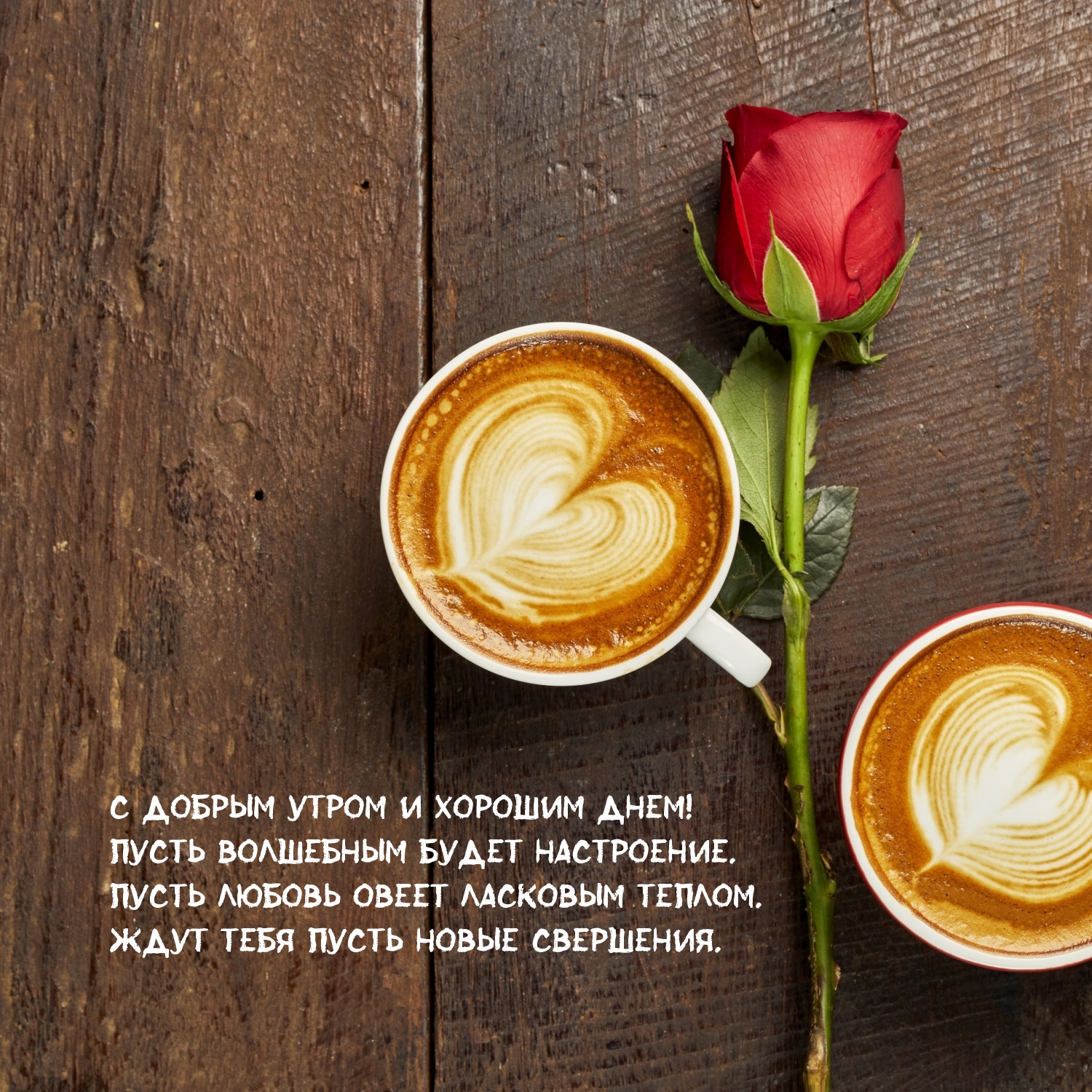 С добрым утром и хорошим днем! Волшебным будет настроение.