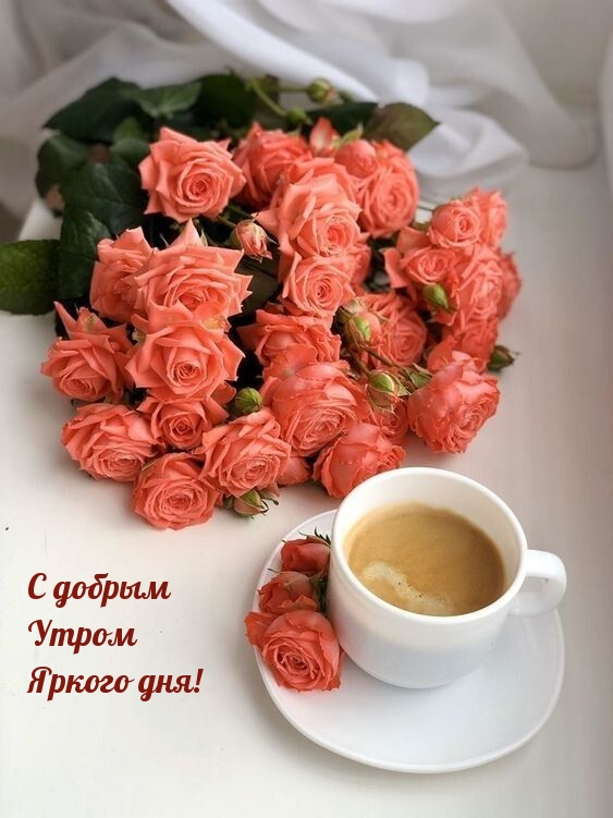 С добрым Утром Яркого дня!