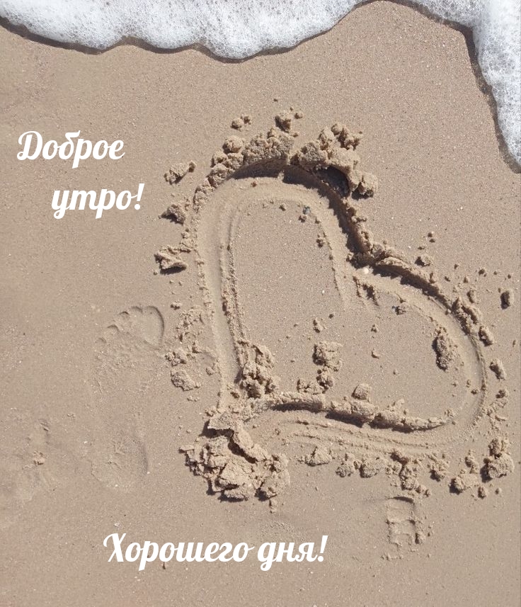 Доброе утро! Хорошего дня!