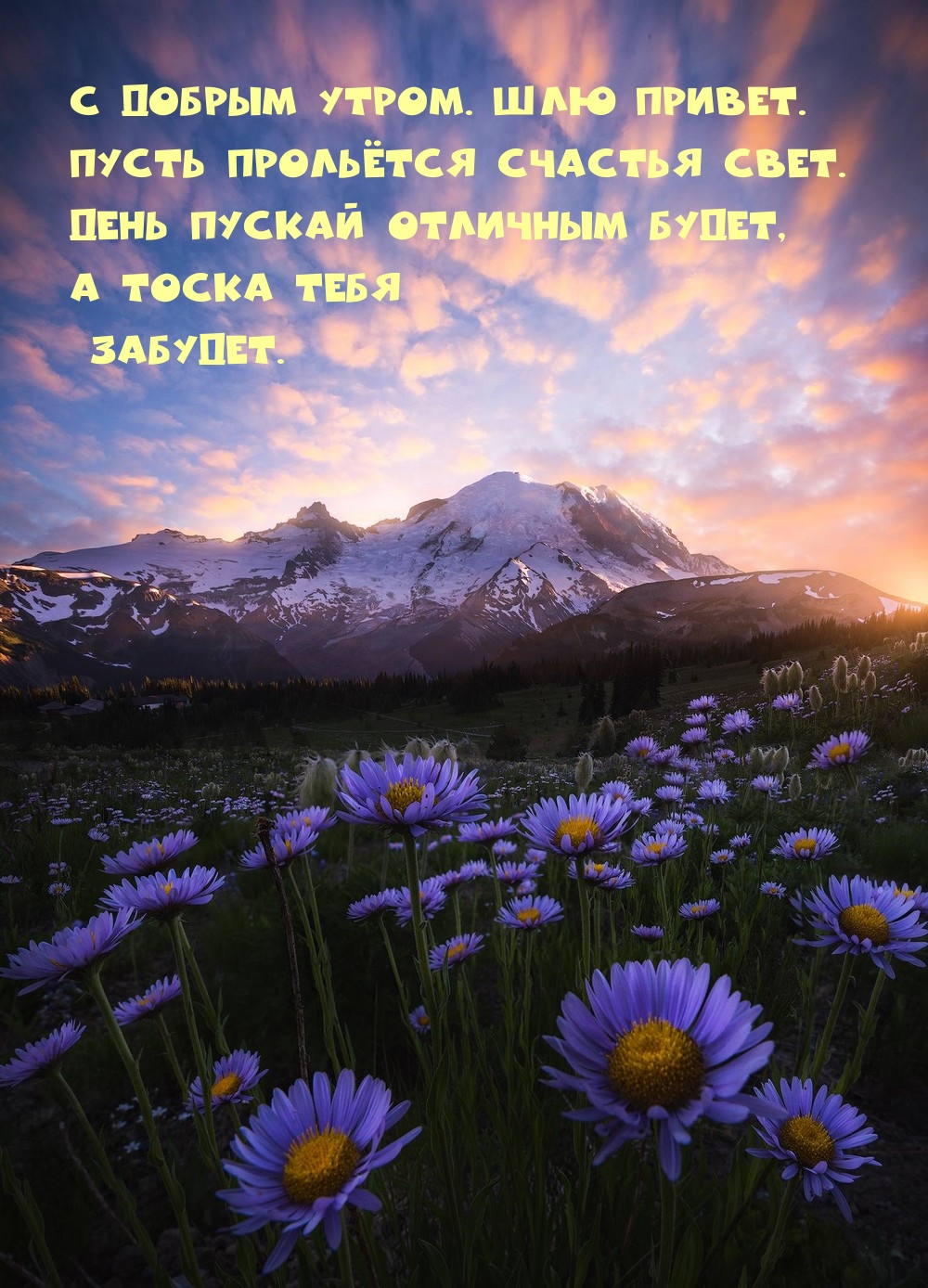 С добрым утром. Шлю привет. Пусть прольётся счастья свет.