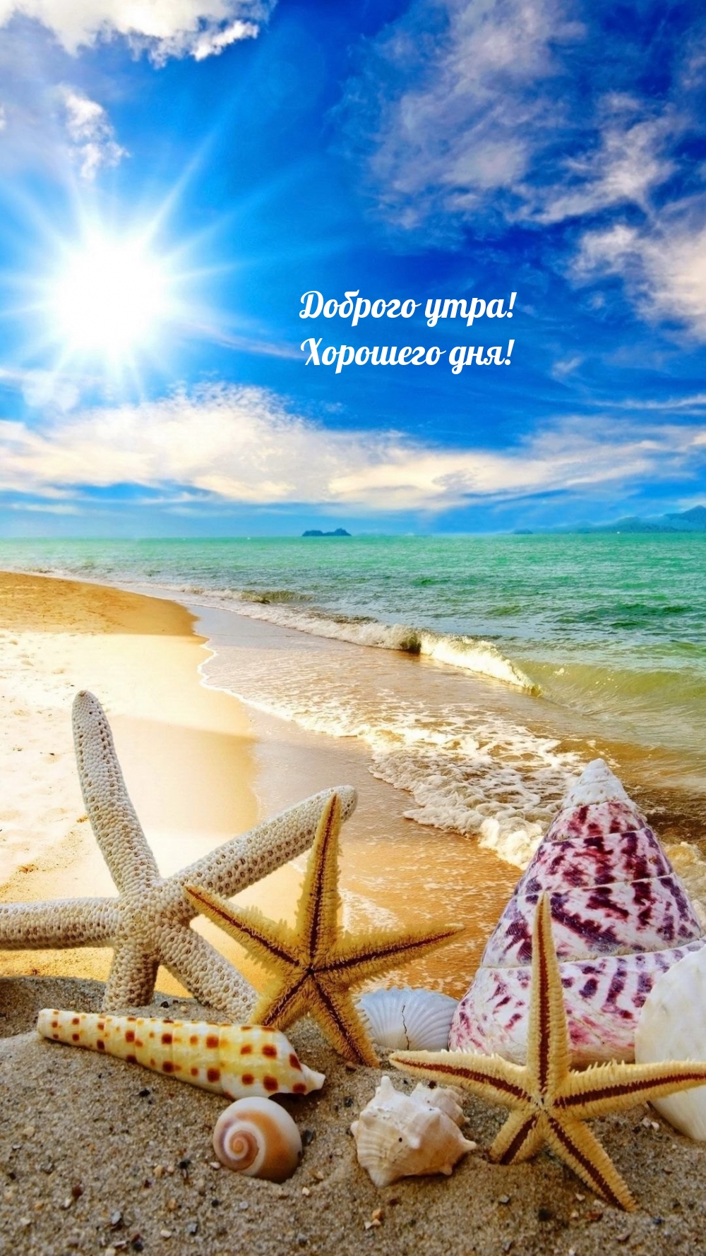 Доброго утра! Хорошего дня!