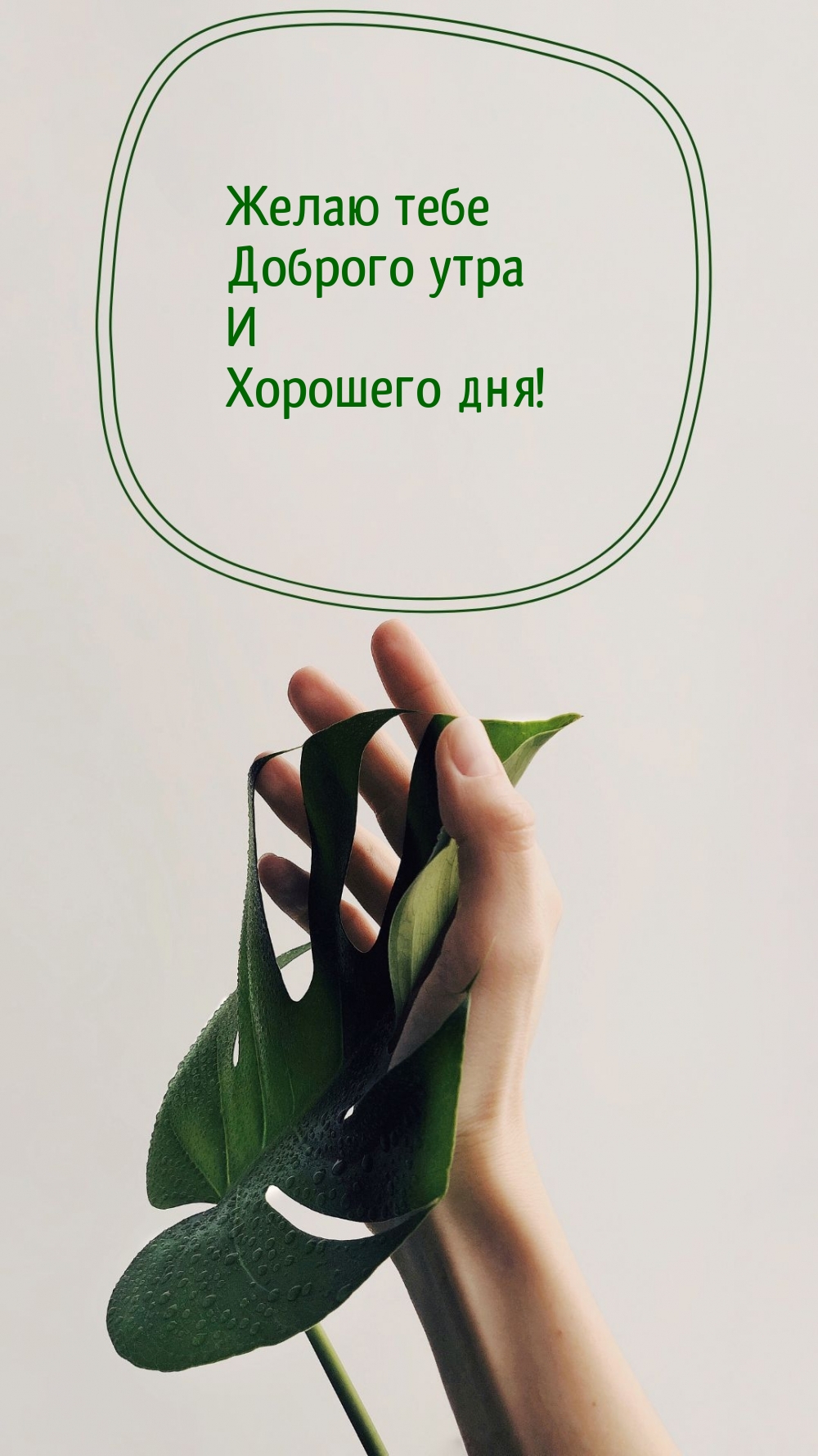 Желаю тебе Доброго утра И Хорошего дня!
