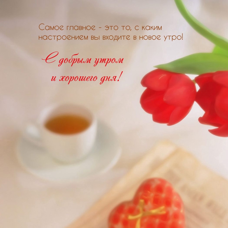 Самое главное — это то, с каким настроением вы входите в утро!