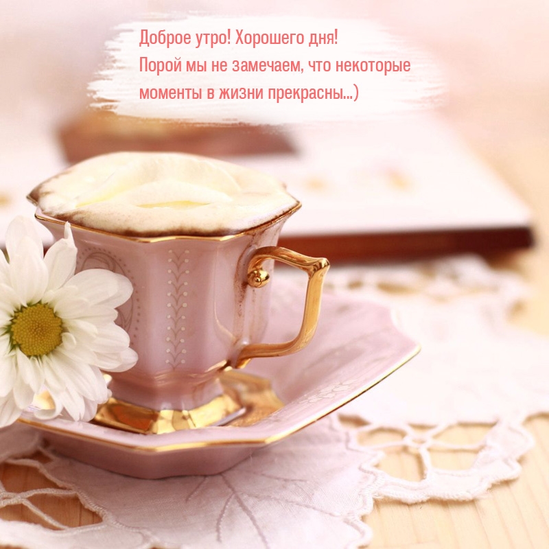 Порой мы не замечаем, что некоторые моменты в жизни прекрасны…