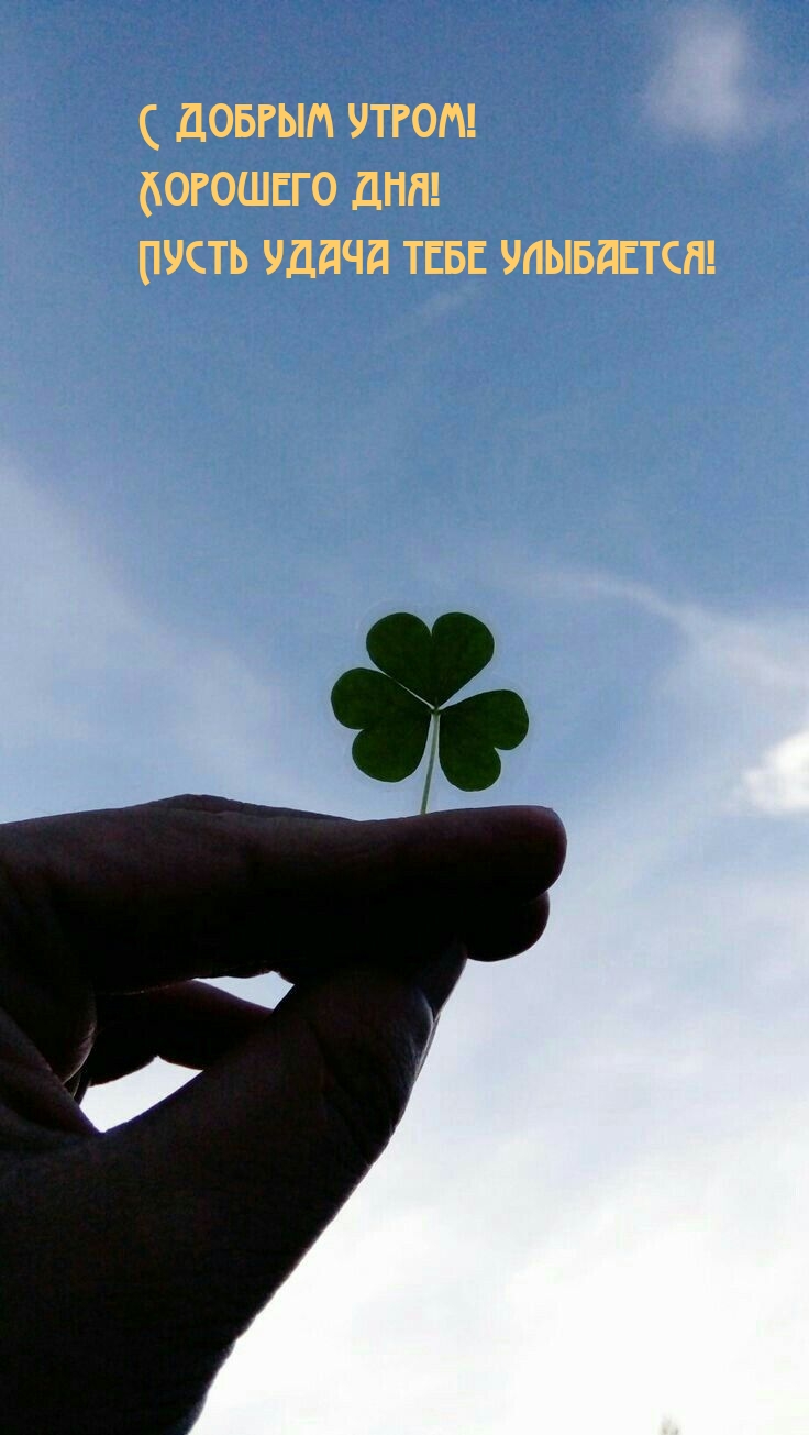 С добрым утром! Хорошего дня! Пусть удача тебе улыбается!