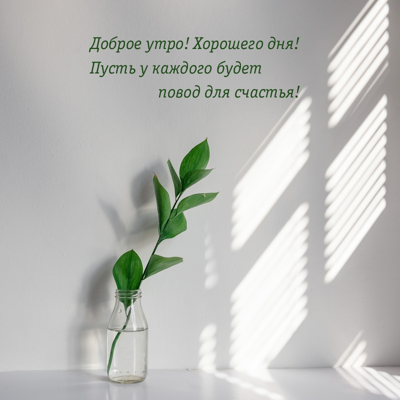 Доброе утро! Пусть у каждого будет повод для счастья!