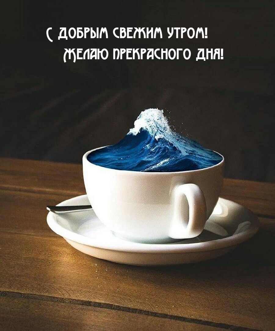 С добрым свежим утром! Желаю прекрасного дня!