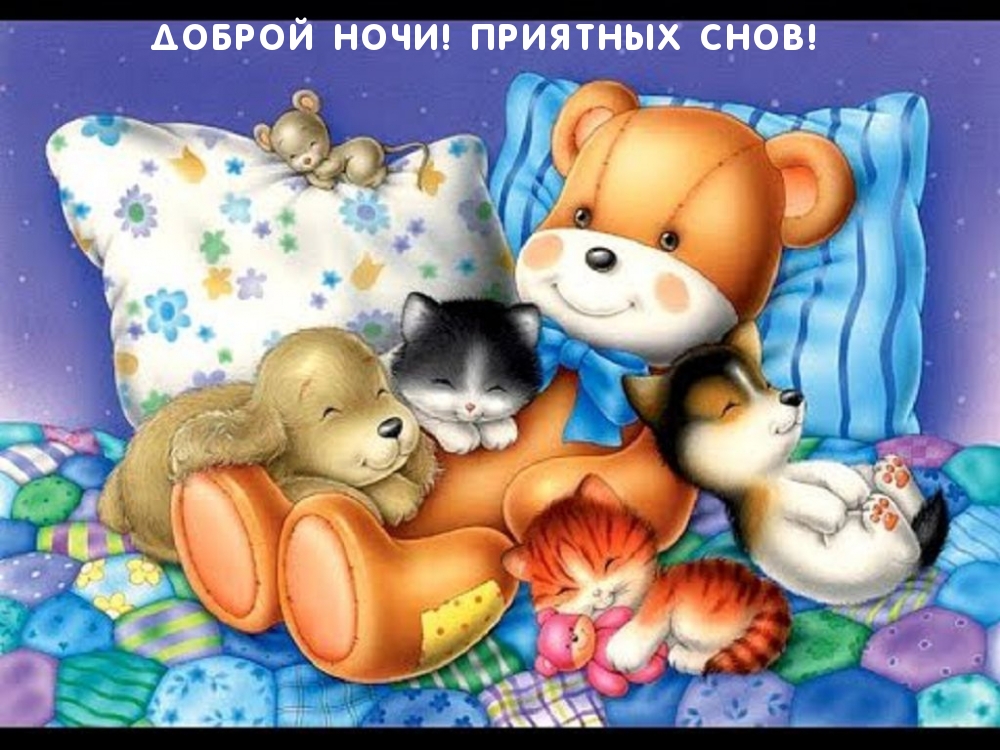Доброй ночи! Приятных снов!
