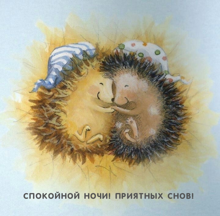 Спокойной ночи! Приятных снов!