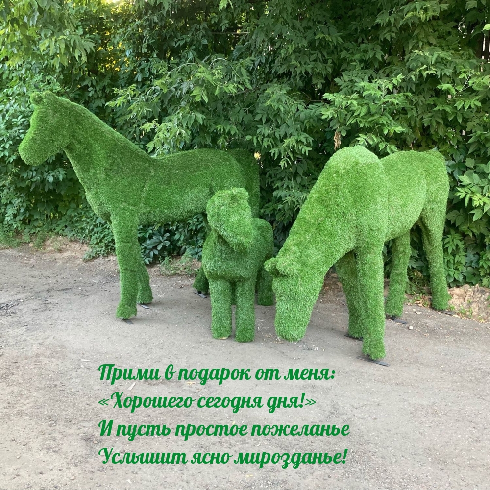 Прими в подарок от меня: «Хорошего сегодня дня!»