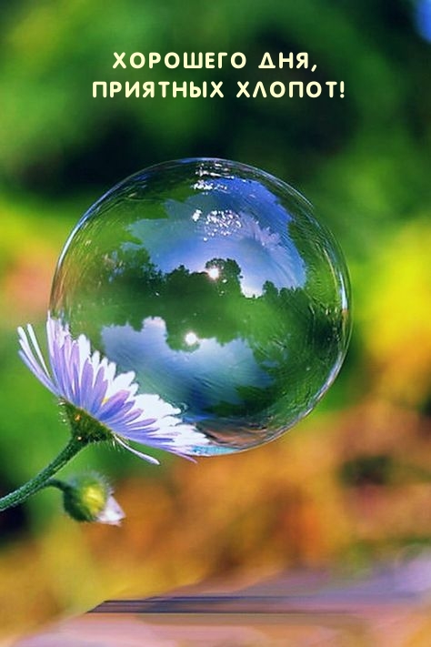 Хорошего дня, приятных хлопот!