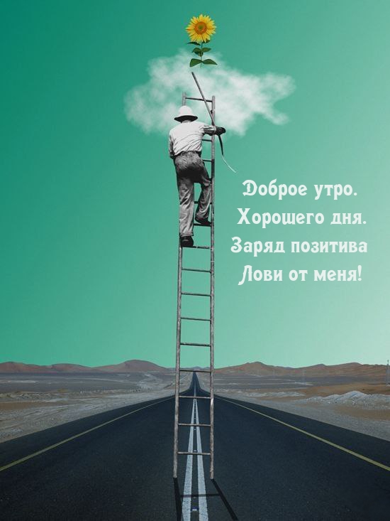 Доброе утро. Хорошего дня. Заряд позитива Лови от меня!