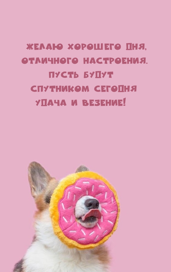 Желаю хорошего дня, отличного настроения.
