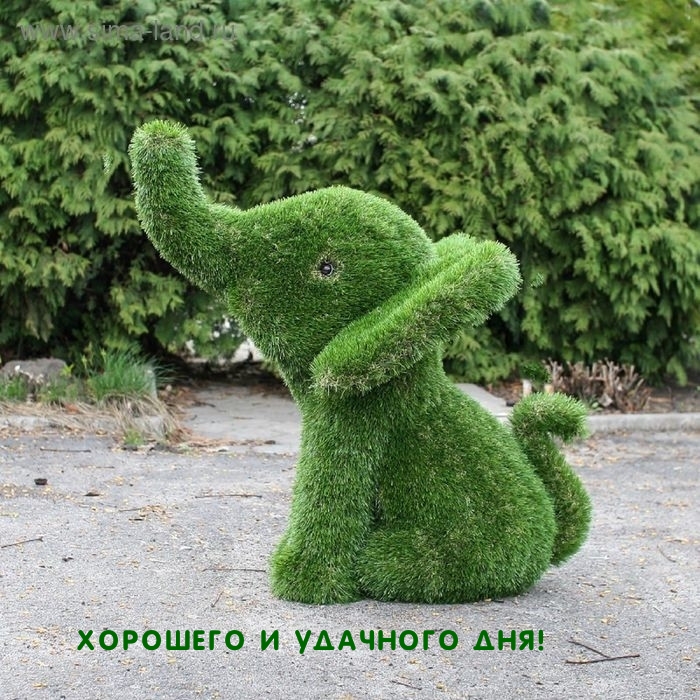 Хорошего и удачного дня!