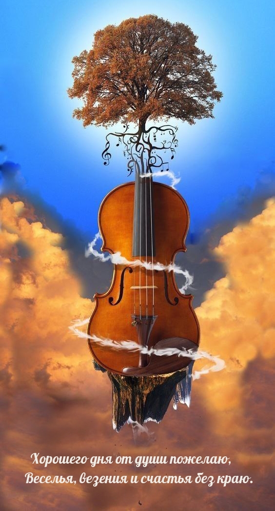 Хорошего дня от души пожелаю, веселья, везения и счастья без краю.