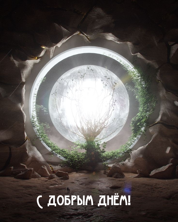 С добрым днём!