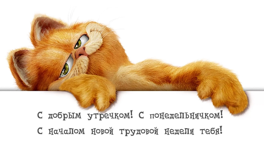 С добрым утречком! С понедельничком!