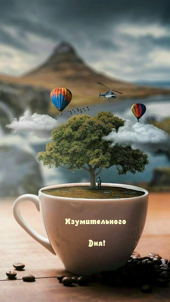 Изумительного Дня!