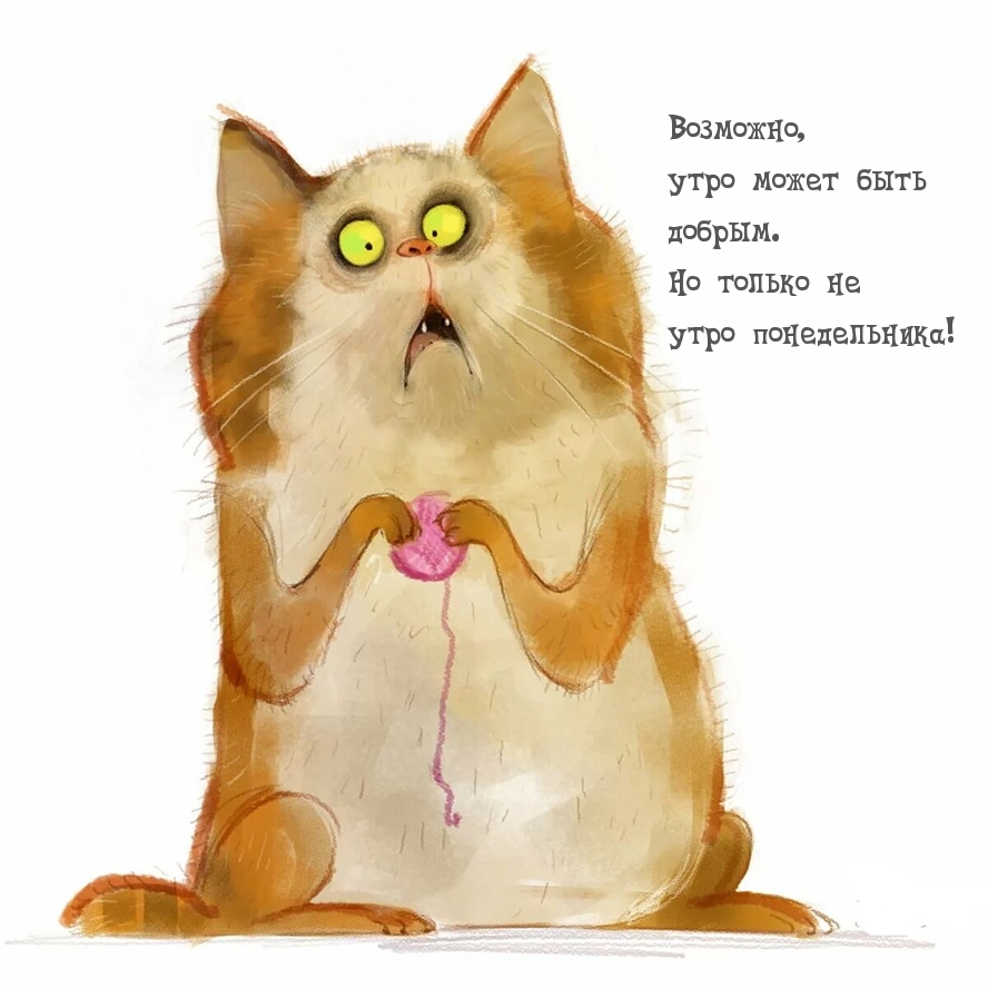 Только не утро понедельника!