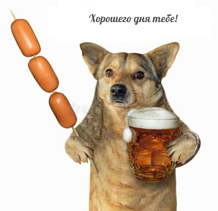 Хорошего дня тебе!