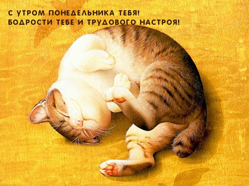 С утром понедельника тебя!