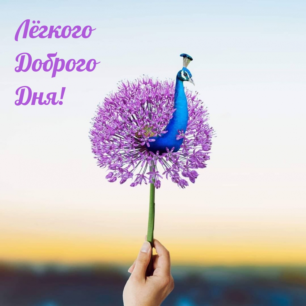 Лёгкого Доброго Дня!