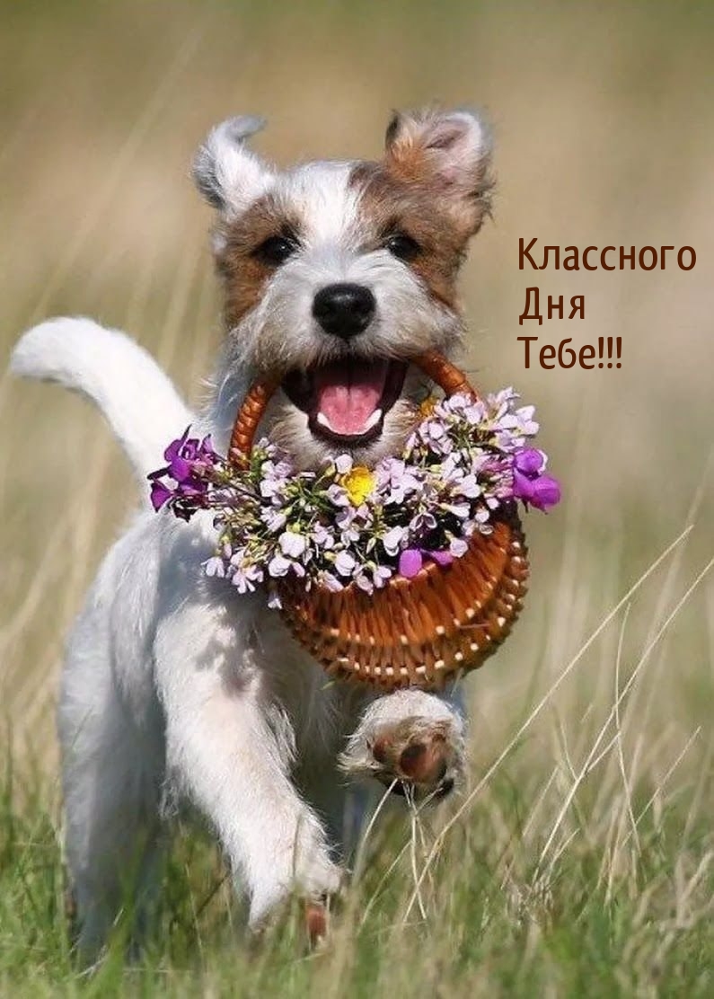 Классного Дня Тебе!
