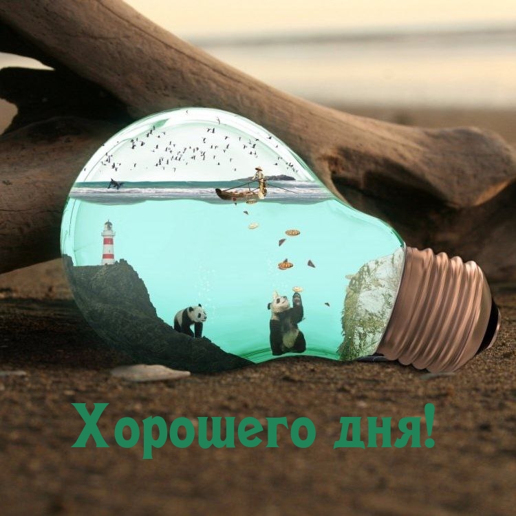 Хорошего дня!