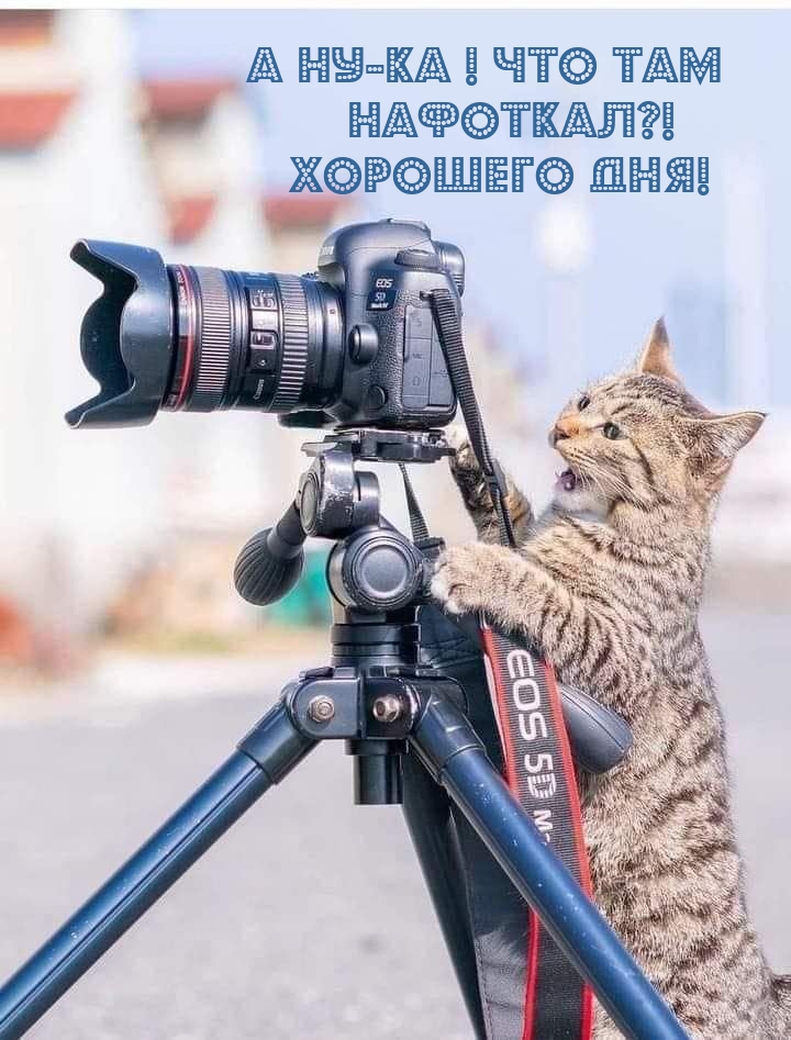 А ну-ка! Что там нафоткал?! Хорошего дня!