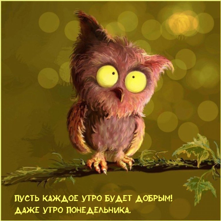 Пусть каждое утро будет добрым! Даже утро понедельника.