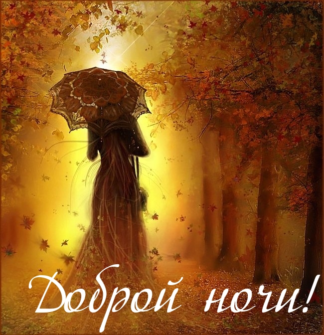 Доброй ночи!