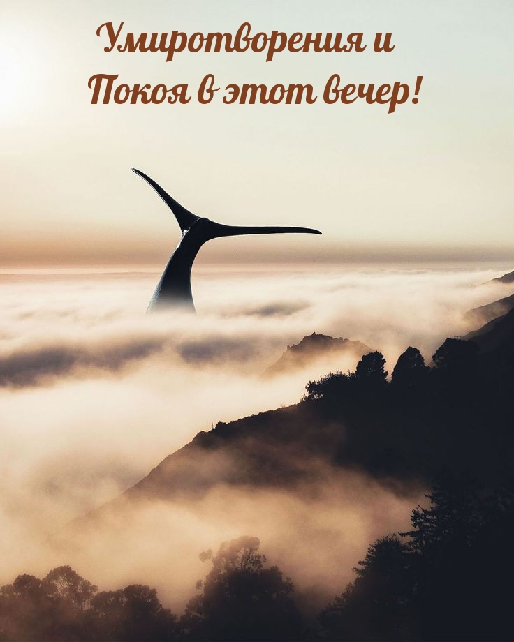 Умиротворения и Покоя в этот вечер!