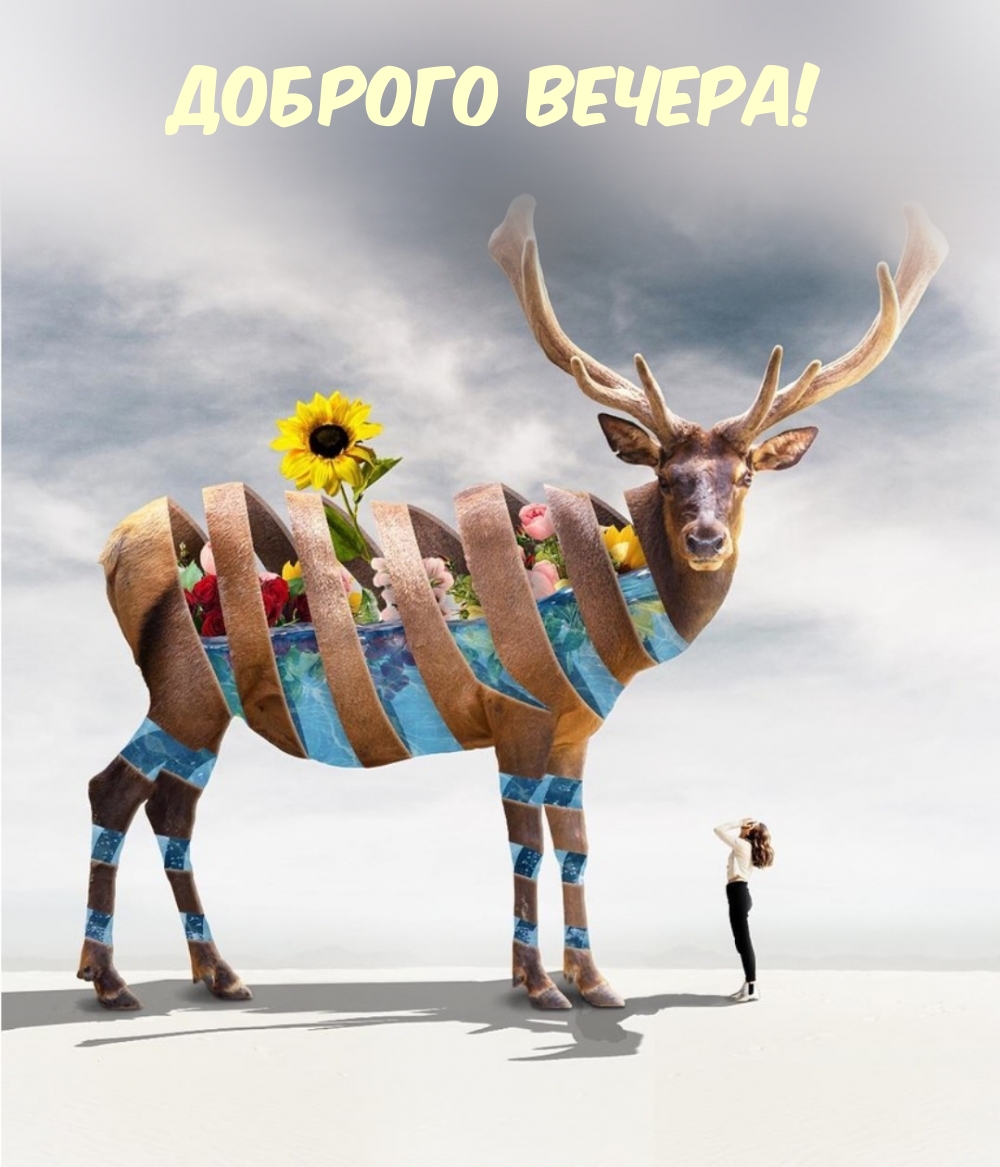 Доброго вечера!