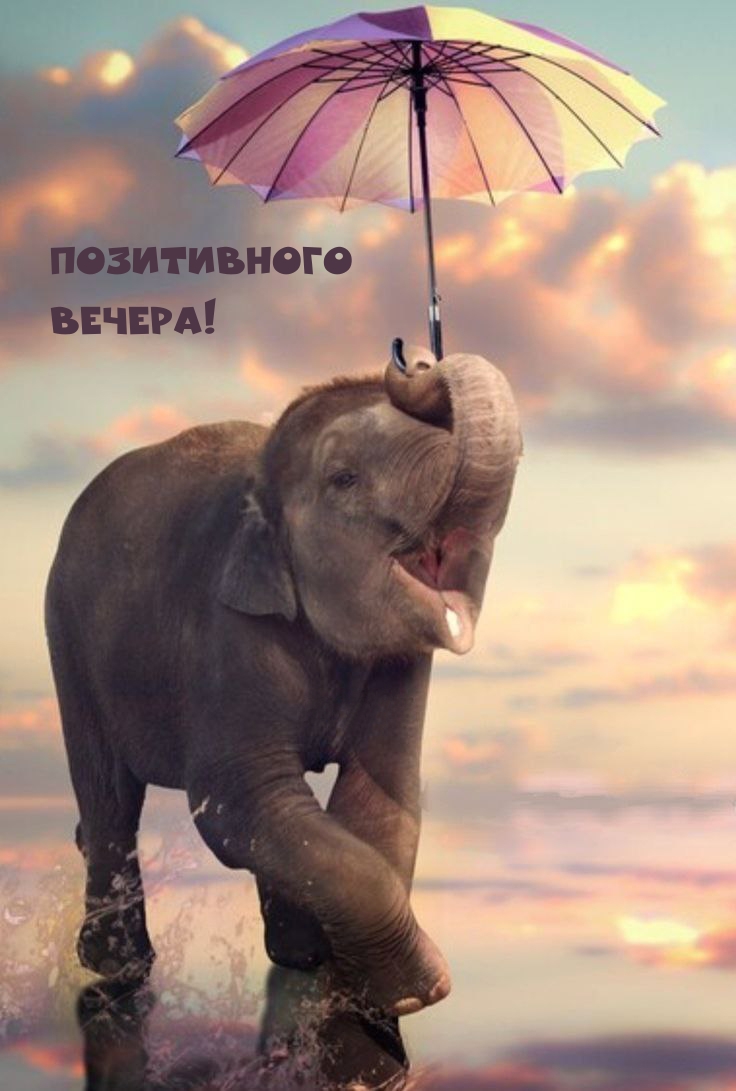 Позитивного Вечера!
