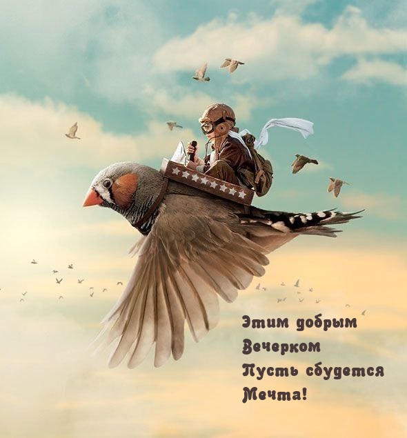 Этим добрым Вечерком Пусть сбудется Мечта!