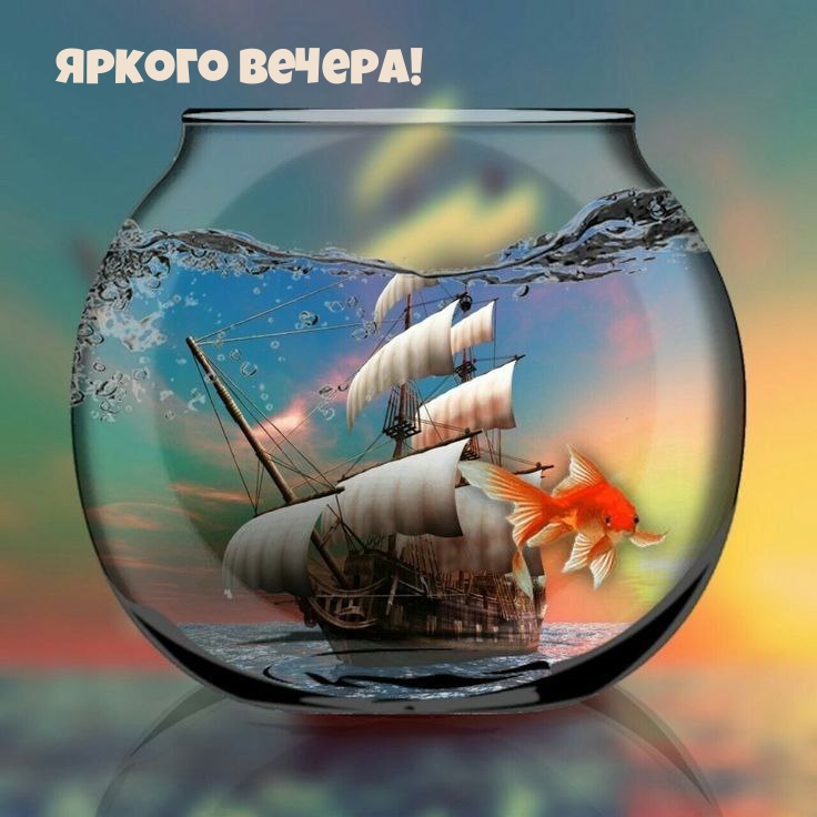 Яркого вечера!