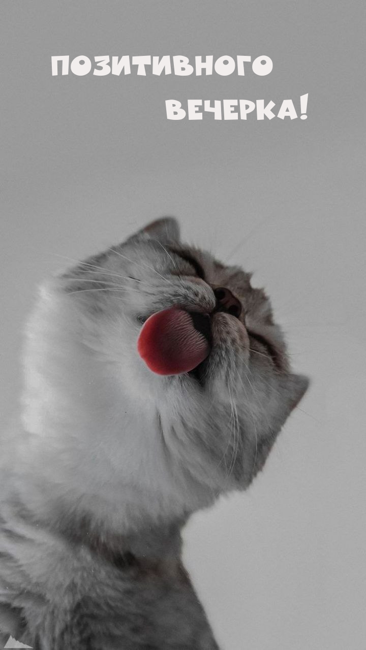 Позитивного Вечерка!