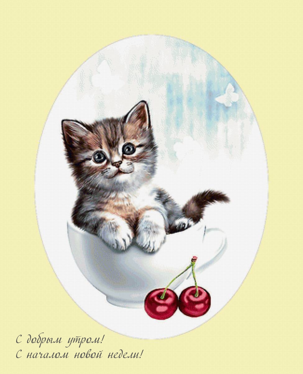С добрым утром! С началом новой недели!