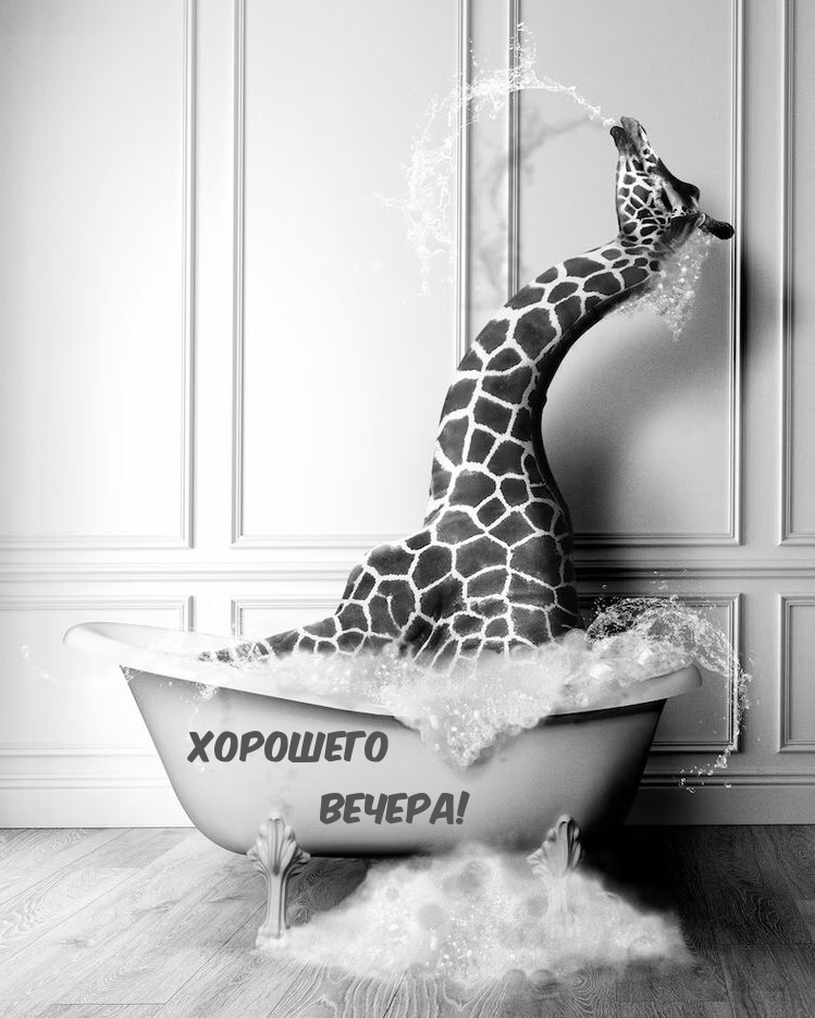 Хорошего вечера!