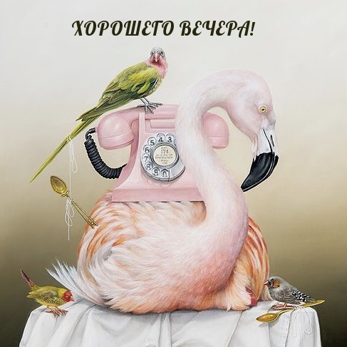 Картинка - Хорошего вечера!.