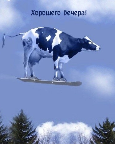 Хорошего вечера!