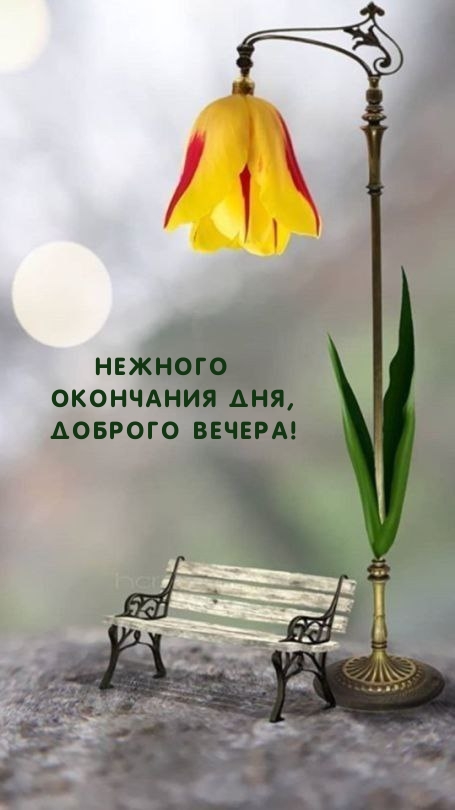 Нежного Окончания дня, Доброго вечера!