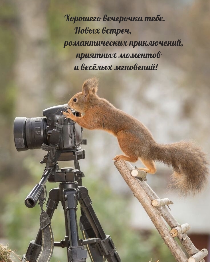 Хорошего вечерочка тебе. Новых встреч