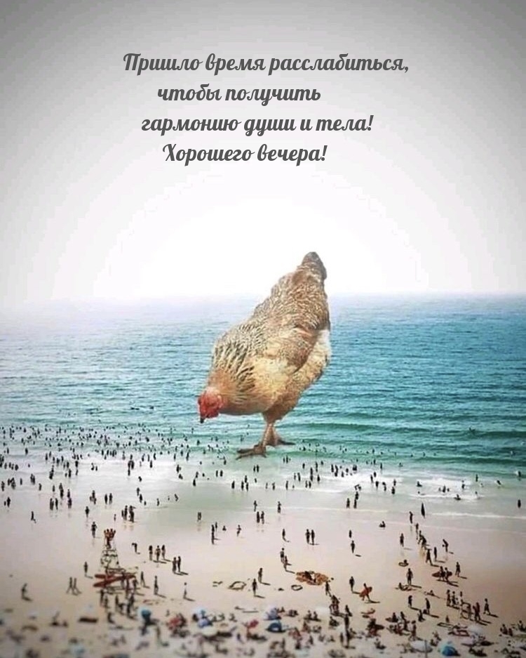 Хорошего вечера! Пришло время расслабиться