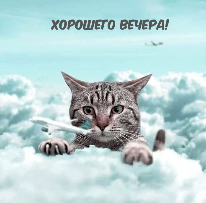 Хорошего вечера!