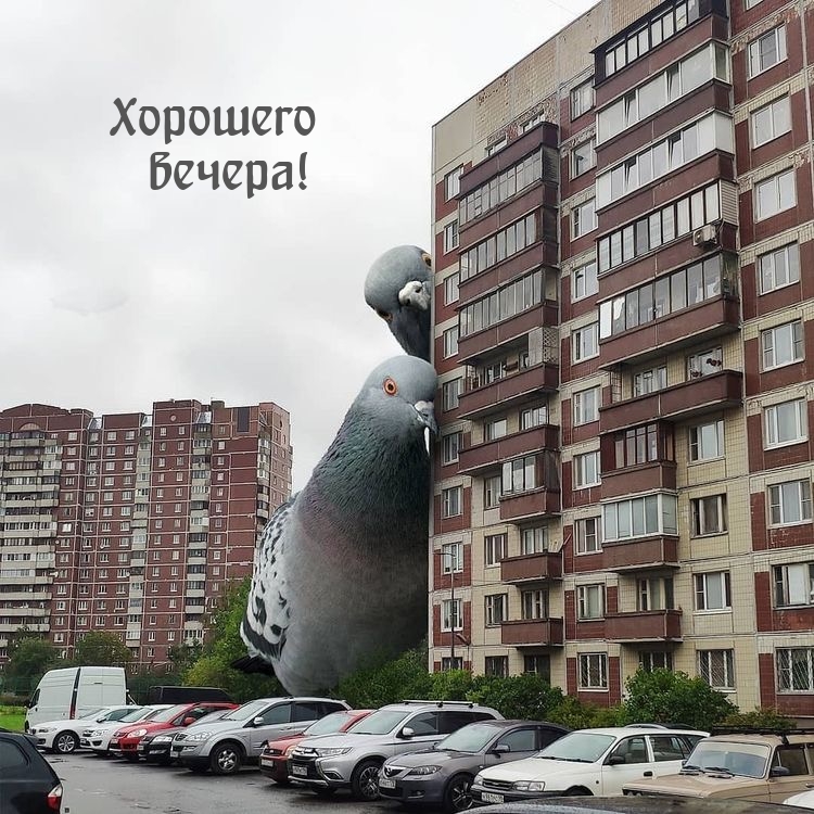 Хорошего вечера!