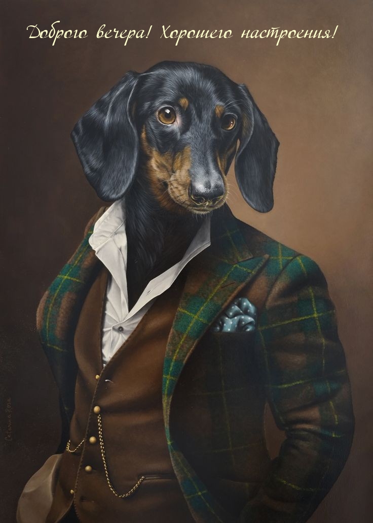 Доброго вечера! Хорошего настроения!