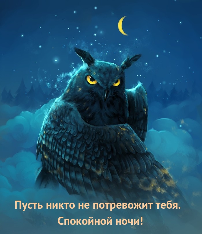 Пусть никто не потревожит тебя. Спокойной ночи!